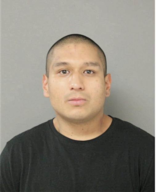 BRIAN C HERNANDEZ, Cook County, Illinois