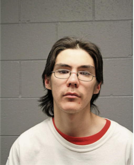 JOHN S HERNANDEZ, Cook County, Illinois