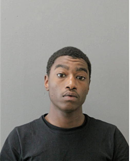 MIKHAIL A HORTON, Cook County, Illinois