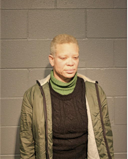 JANIS E MAYES, Cook County, Illinois