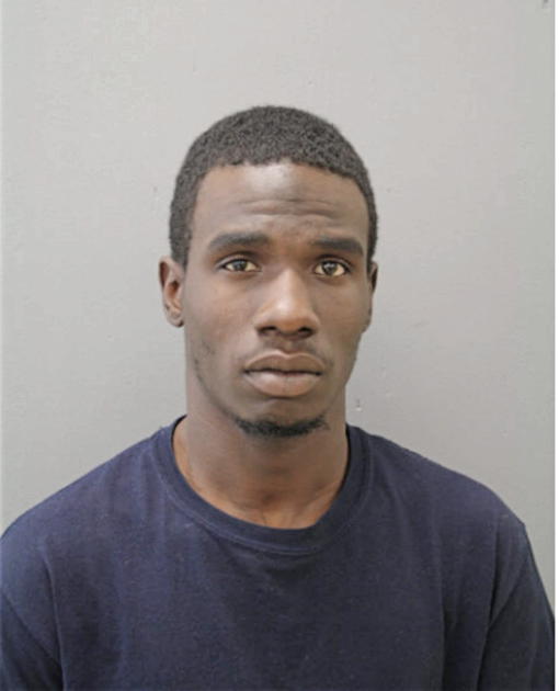 TARRIE NOEL, Cook County, Illinois