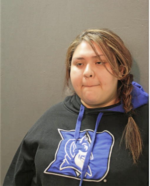 ALMA ORTIZ, Cook County, Illinois