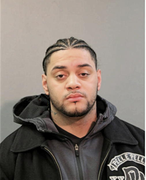 NICOLAS D ORTIZ, Cook County, Illinois