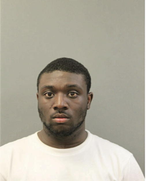 ALONTE R ANDERSON, Cook County, Illinois