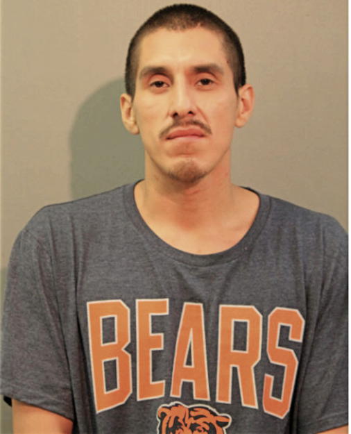 LUIS I RIVAS, Cook County, Illinois