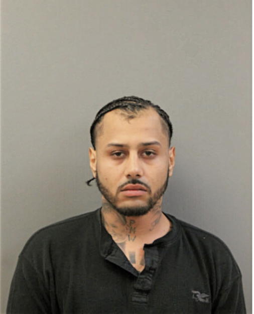 FABIAN W RODRIGUEZ, Cook County, Illinois