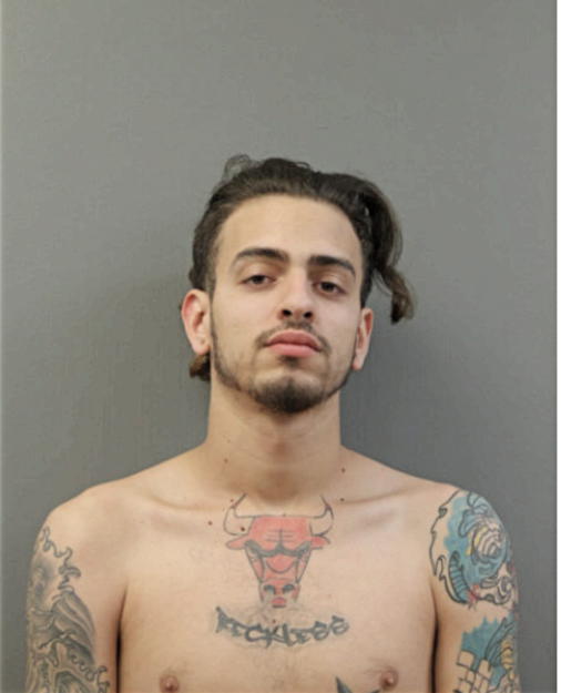 RAUL A RODRIGUEZ, Cook County, Illinois