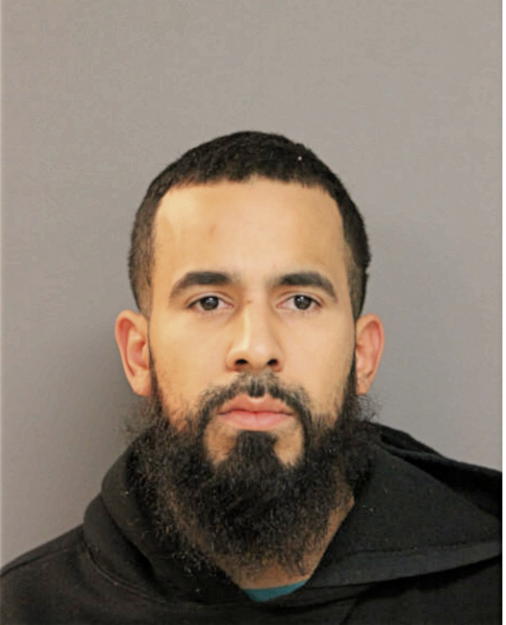 ALFREDO L ROLDAN, Cook County, Illinois