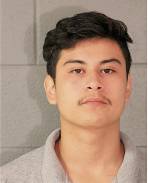 AGUSTIN RUIZ, Cook County, Illinois