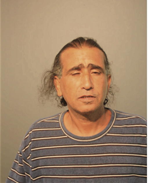 HASSAN AL SHWAILY, Cook County, Illinois