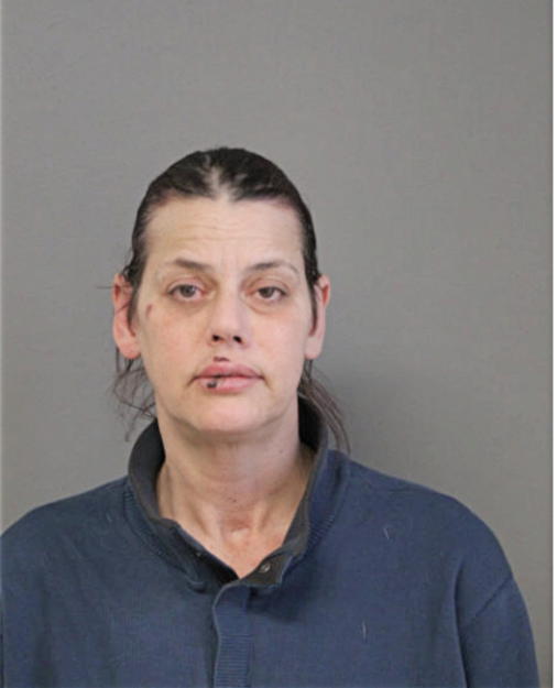 LAURA L STAM, Cook County, Illinois