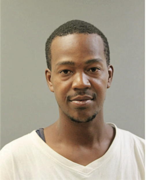 DAVID T WILLIAMS, Cook County, Illinois