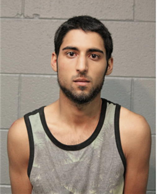 TAYLOR J BERG, Cook County, Illinois