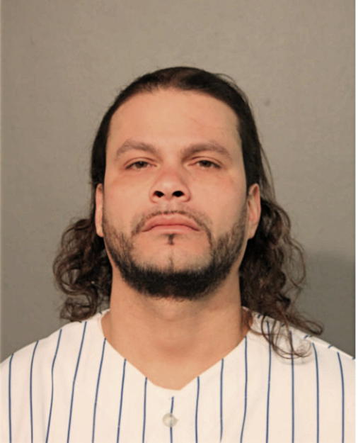 JULIO A BERMUDEZ ROMAN, Cook County, Illinois