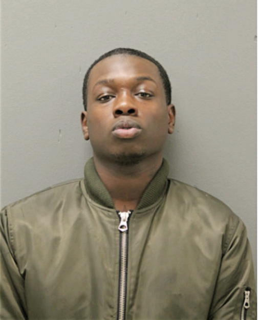 LESTER D BIBBS, Cook County, Illinois