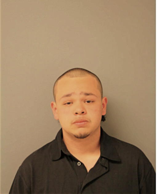 RICK A CARLOS, Cook County, Illinois