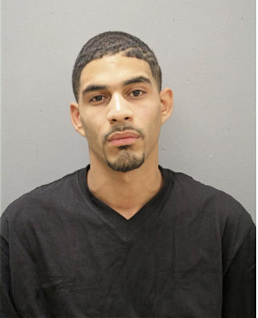 JERRY M DAWSON, Cook County, Illinois