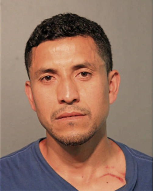 XOCHIPILLY ELIZALDE, Cook County, Illinois