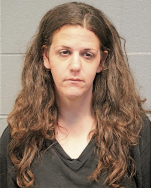 ALLISON C FISHMAN, Cook County, Illinois