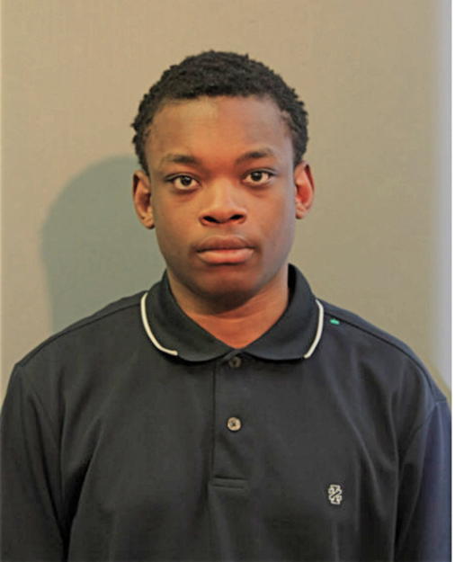 OLUMIDE O FOLARIN, Cook County, Illinois