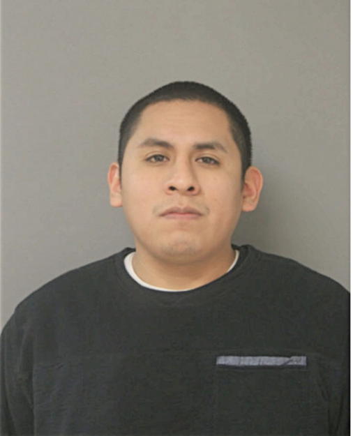 HECTOR GONZAGA, Cook County, Illinois