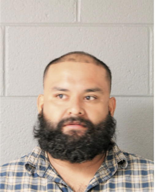 JOSE P GONZALEZ, Cook County, Illinois