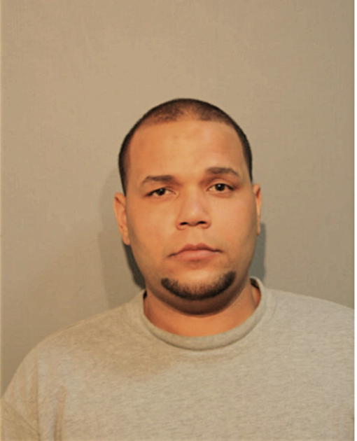 LUIS R GUEVARA, Cook County, Illinois