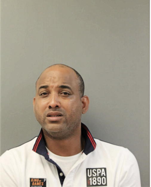 RONALD L HECHAVARRIA, Cook County, Illinois