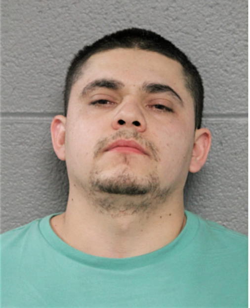 CARLOS HERNANDEZ-GALVAN, Cook County, Illinois