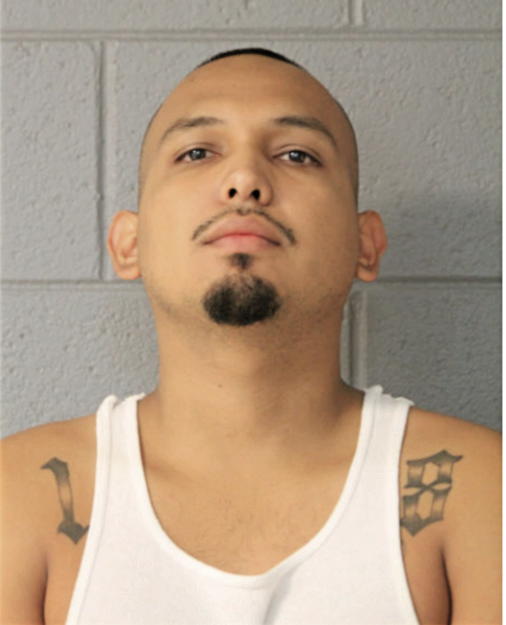 RICARDO INFANTE, Cook County, Illinois