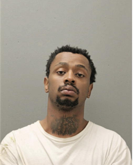 ANDRE N JACKSON, Cook County, Illinois