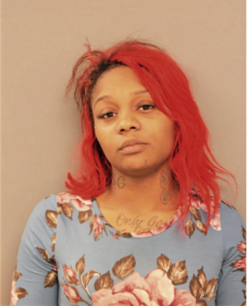 TASHEEMA T JENKINS, Cook County, Illinois