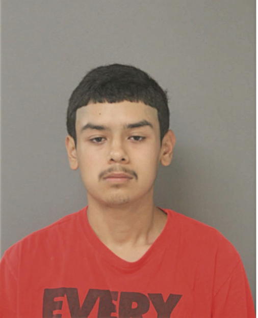 ADRIAN A MAYA, Cook County, Illinois
