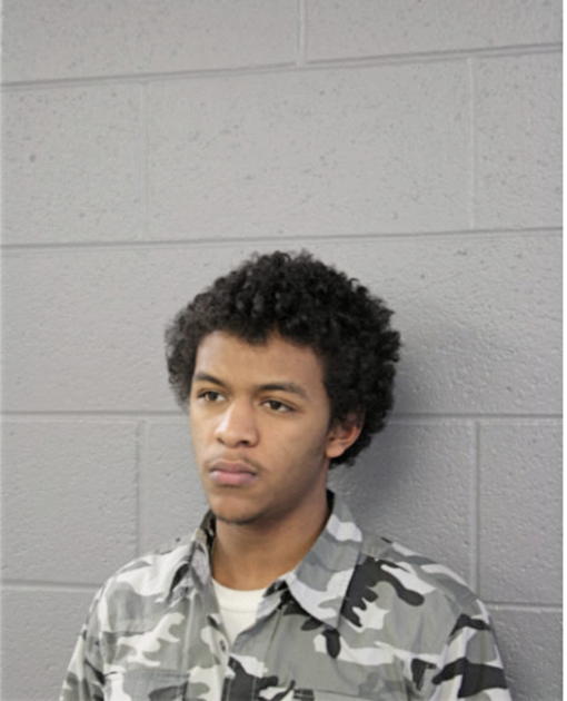 DAVID NELSON, Cook County, Illinois