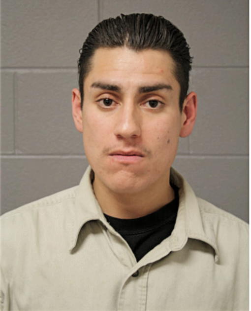 IDOLINO PINEDA, Cook County, Illinois