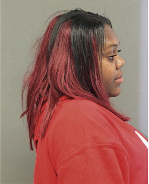ALEXIS K ROBINSON, Cook County, Illinois