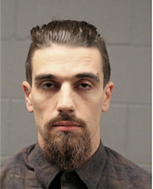 MATTHEW S SKOLARUS, Cook County, Illinois