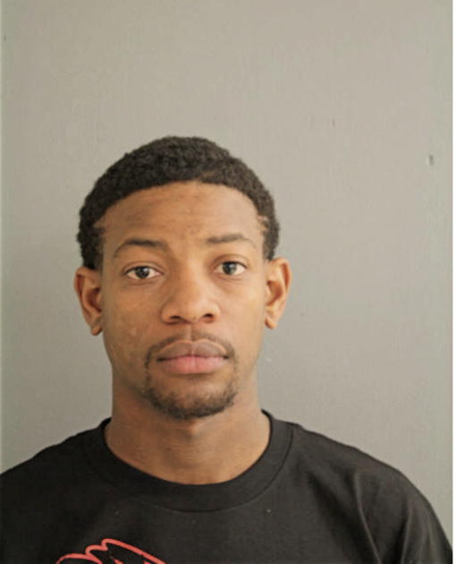TERRENCE L STANDLEY, Cook County, Illinois