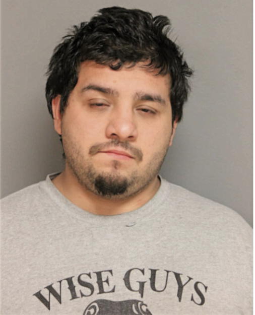 NESTOR E VILLAGOMEZ, Cook County, Illinois