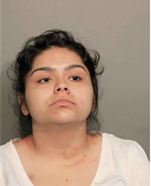 EMILY A AGUILAR, Cook County, Illinois