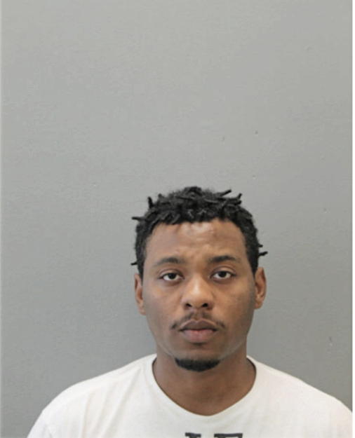 RYAN O BROWN, Cook County, Illinois