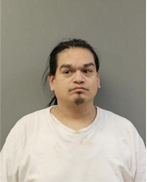 FERNANDO CERVANTES, Cook County, Illinois