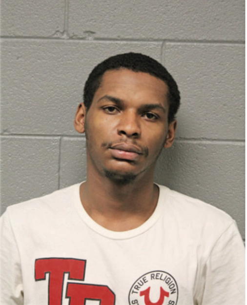 MICHAEL P DAVIS, Cook County, Illinois