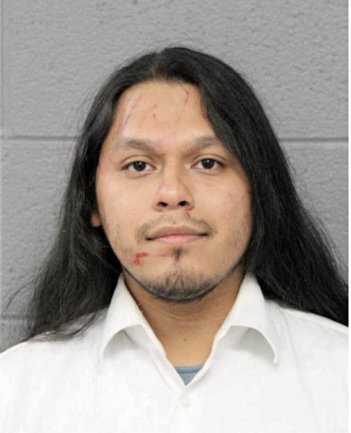 MARIO A FLORES, Cook County, Illinois
