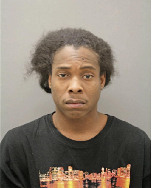 SHANNON R FRYE, Cook County, Illinois