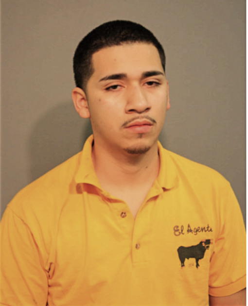 ADRIAN GALVAN, Cook County, Illinois