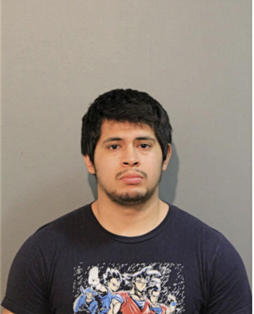ROBERTO GONZALEZ, Cook County, Illinois