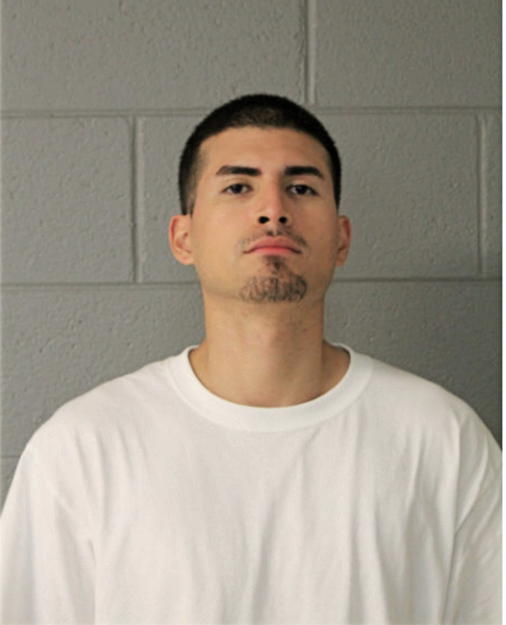 CELSO JR JAIMES, Cook County, Illinois