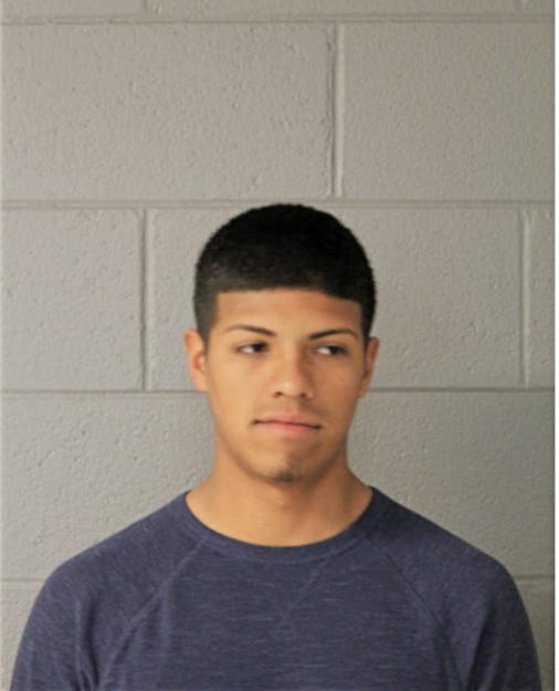 BRAYAN LEDEZMA, Cook County, Illinois