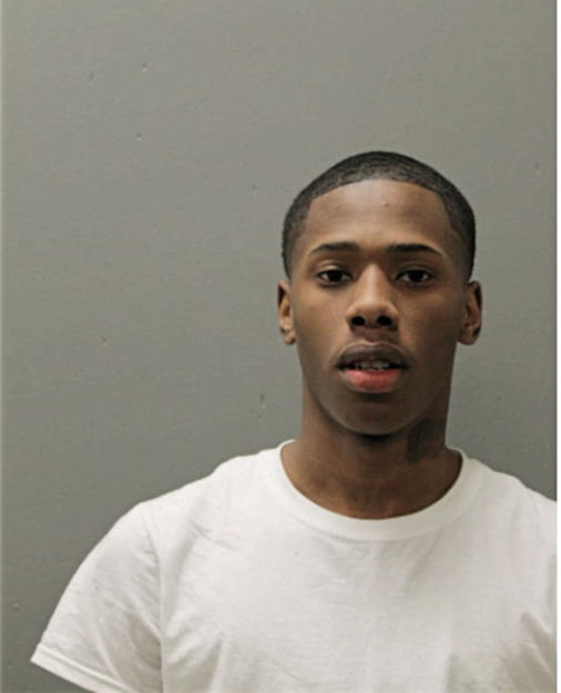 DAJOHN J LOTT, Cook County, Illinois
